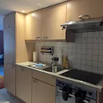 公寓 Alpina Peaks 萨斯费